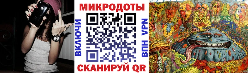 Псилоцибиновые грибы Psilocybine cubensis  Абаза 